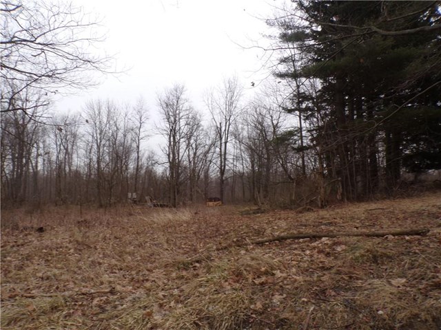 7293 stateline road